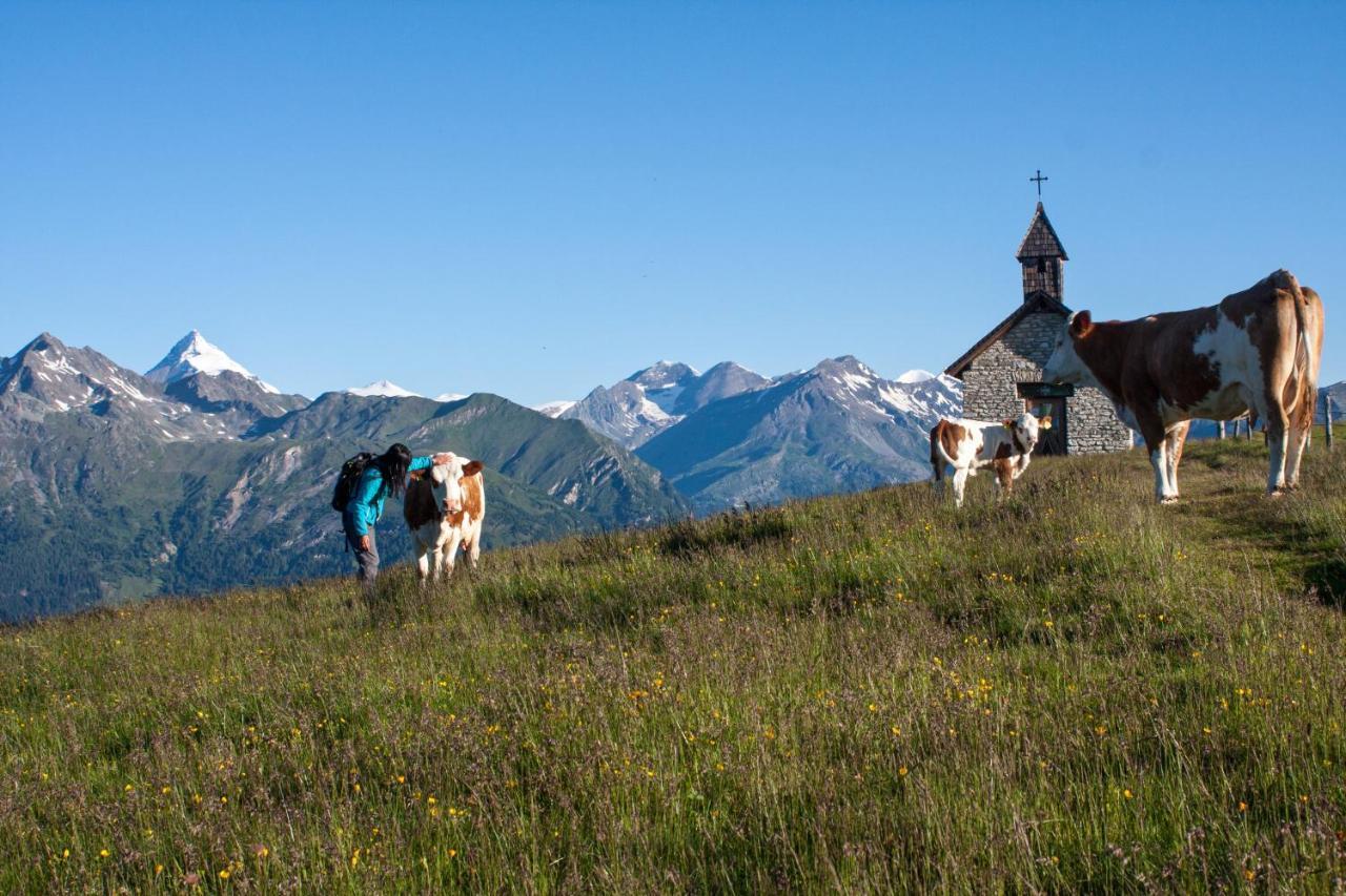 Almgasthaus Glocknerblick Großkirchheim エクステリア 写真